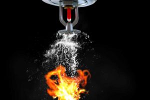 Fire sprinkler